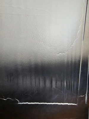 25031.