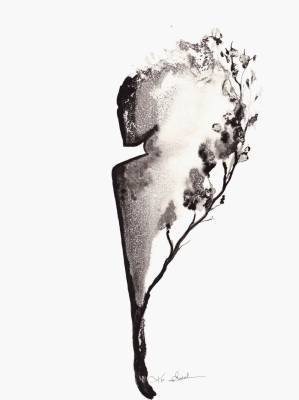 25516.