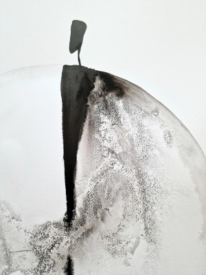 29036.