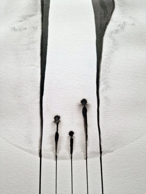 29511.