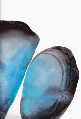 29725.