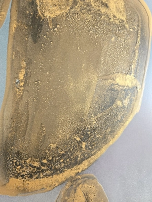 29735.