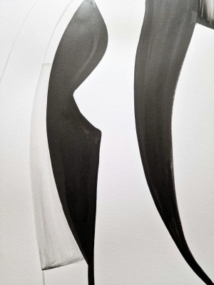 33462.