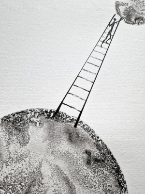 33803.