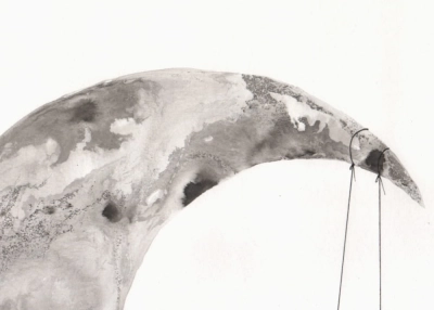 5768