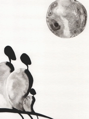 7988