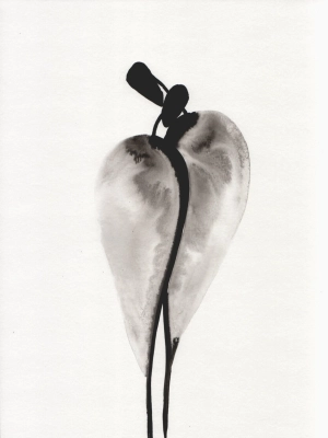12117